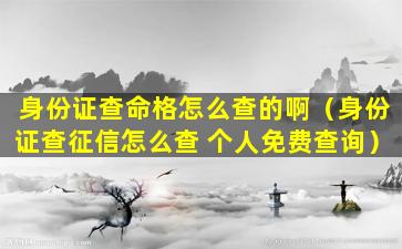 身份证查命格怎么查的啊（身份证查征信怎么查 个人免费查询）